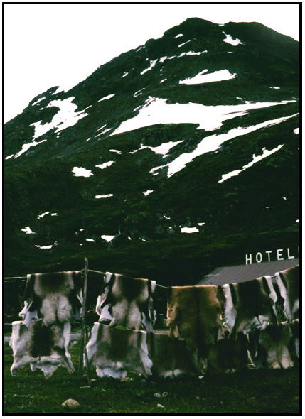 jotunheim